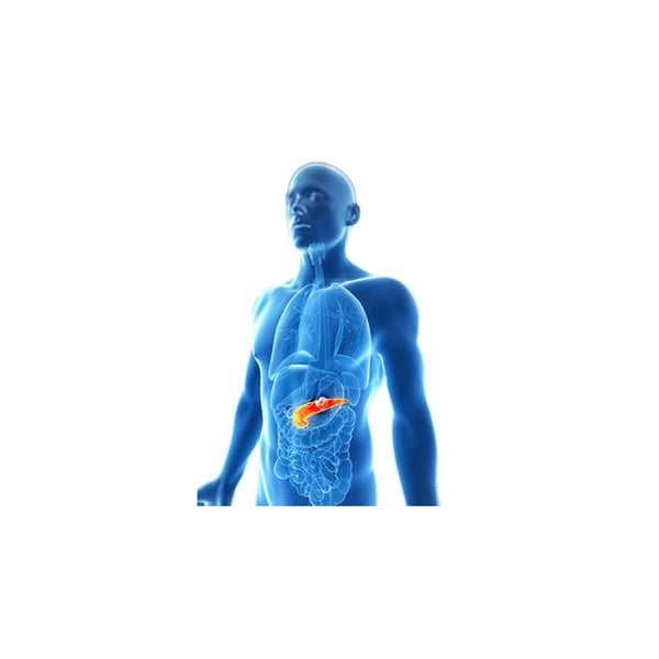 Cancer pancreatic