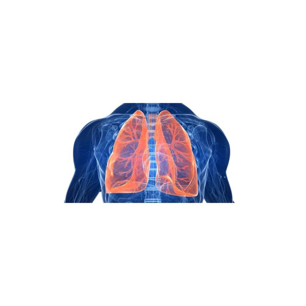 Hipertensiunea pulmonară: complicații, diagnosticarea și testarea